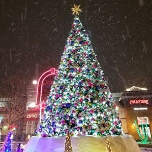 Meet your Posher, Ree